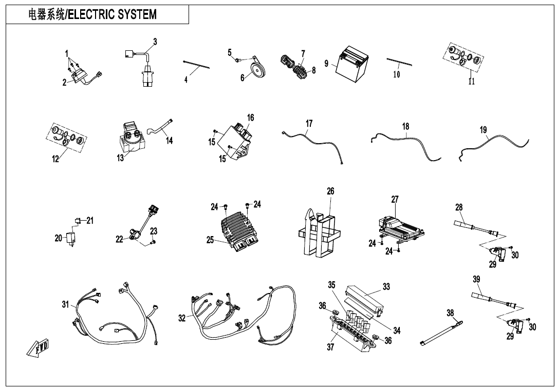 ELECTRIC SYSTEM