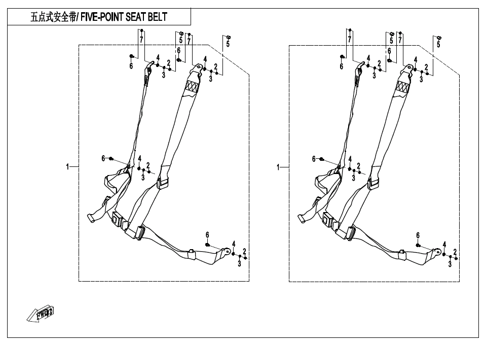 5-POINT SEAT BELT