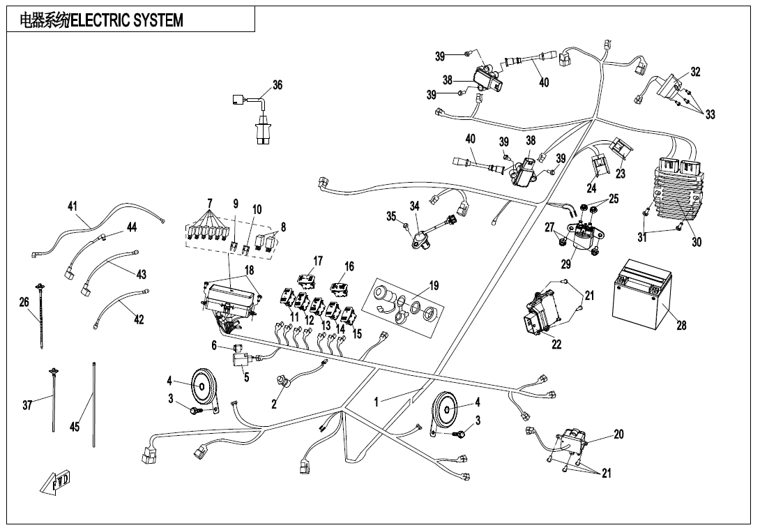 ELECTRIC SYSTEM