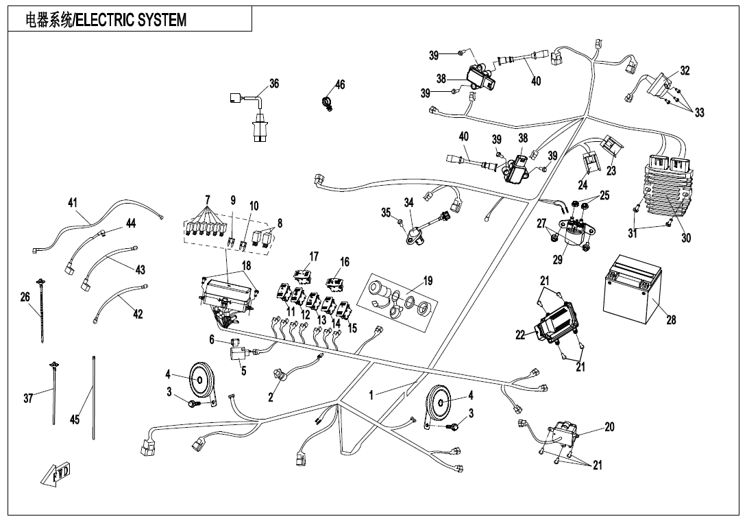 ELECTRIC SYSTEM