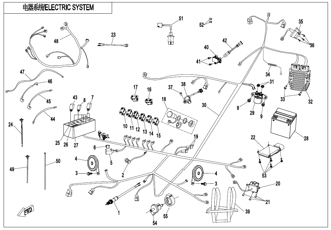 ELECTRIC SYSTEM