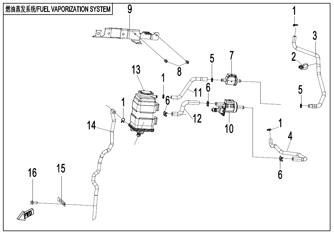 FUEL VAPOPIN SYSTEM