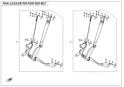 five-point-seat-belts