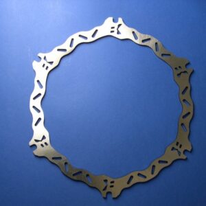 Braking Disco de freno delantero W-FIX Ø367,3/306,5 para Buell