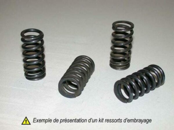 Kit de muelles de embrague YZ125 '02-04 XT-TT-SRX600 '83-89 HSP-208-5