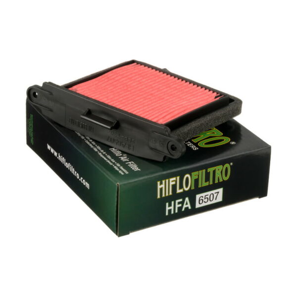 Filtro de aire Hiflofiltro HFA6507