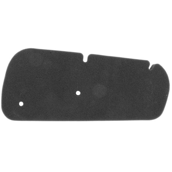 Filtro de aire TECNIUM Honda Phanteon 125/150 MF5-9675